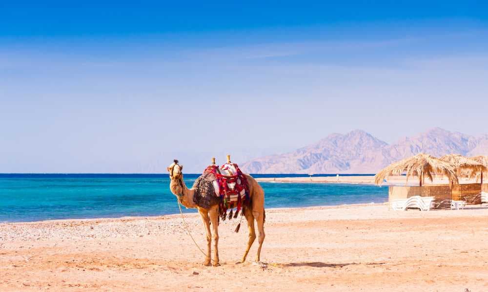 Dahab