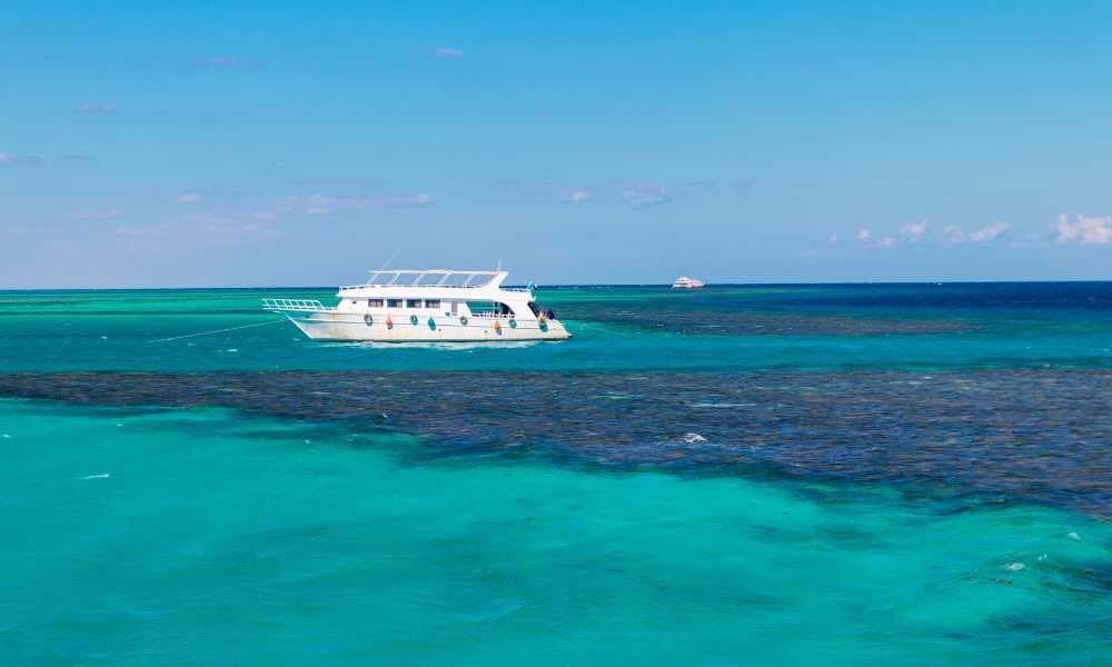 Liveaboard