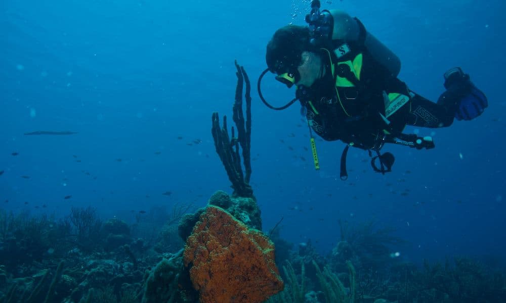 A diver swimming horizontally above a reef with an orange sponge