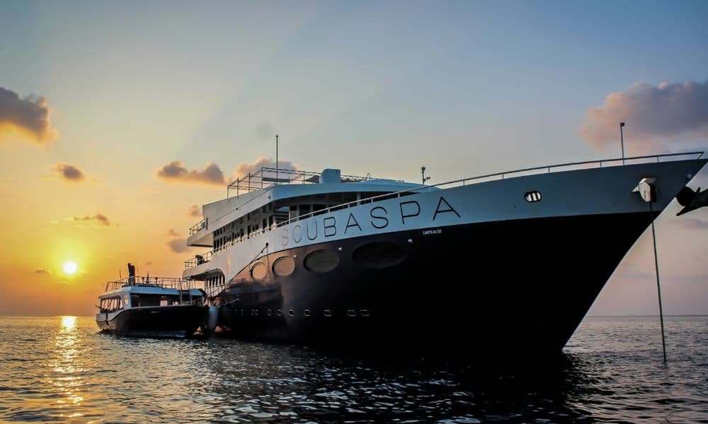 The liveaboard Scubaspa Yin