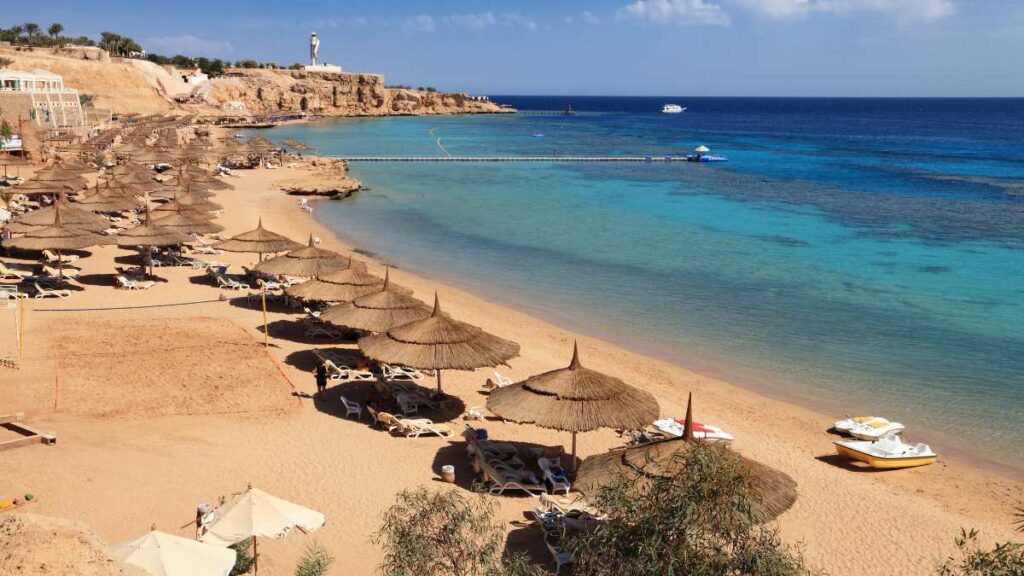 diving the Red Sea on a budget