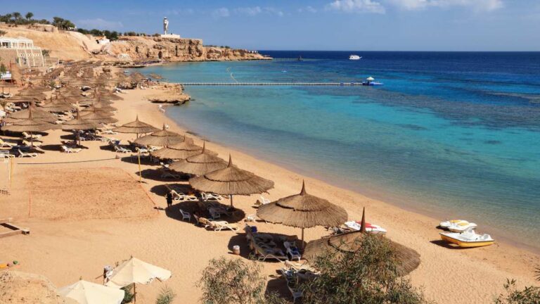 diving the Red Sea on a budget