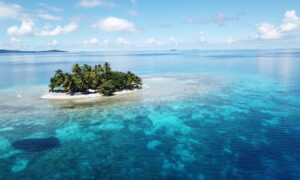 Banda Sea liveaboard hammerheads