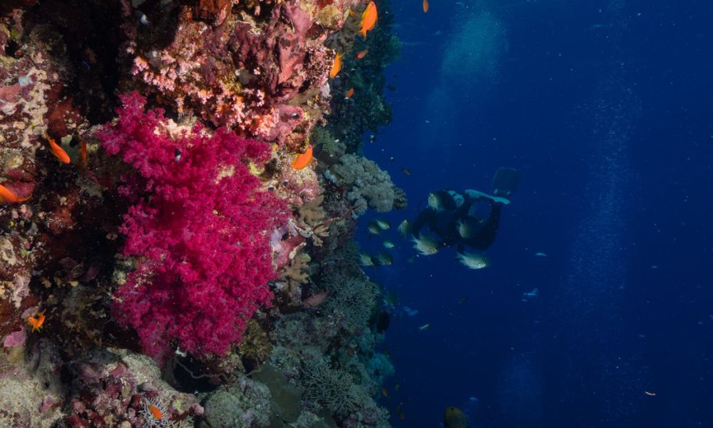 Diving Dahab Blue Hole