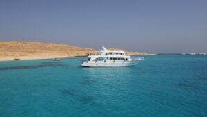 Best red sea liveaboards