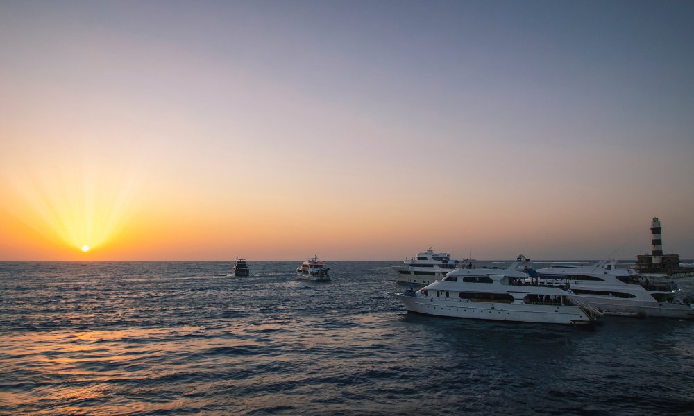 daedalus reef sundown