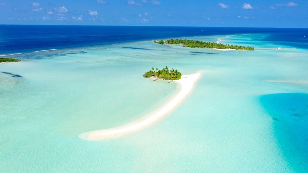 Best Time To Dive Maldives