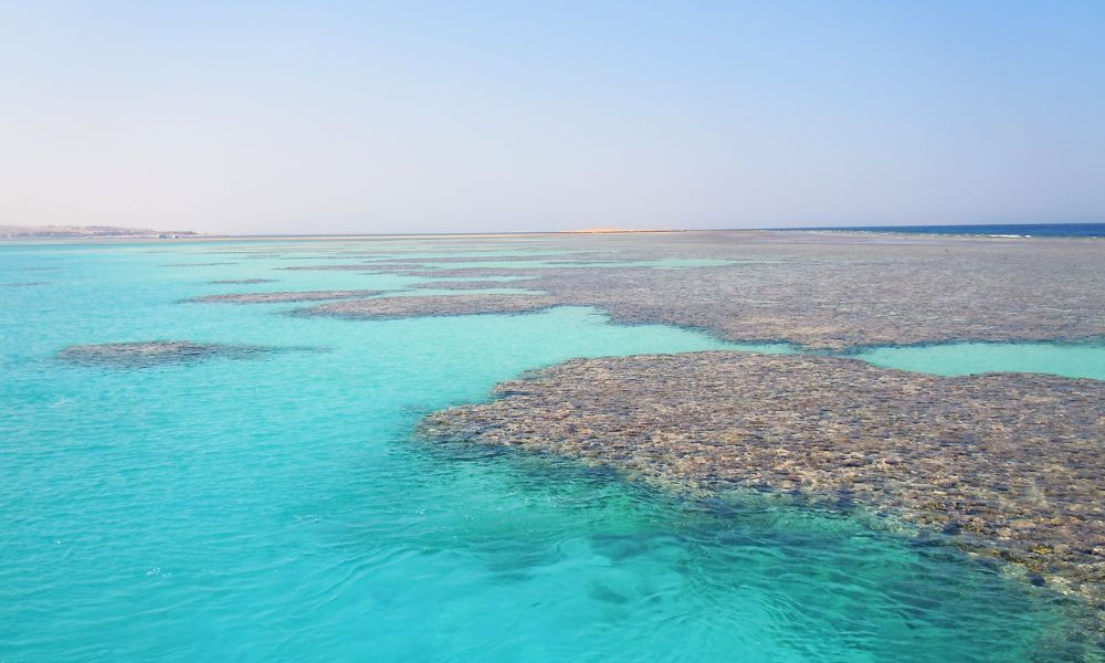 giftun islands reefs