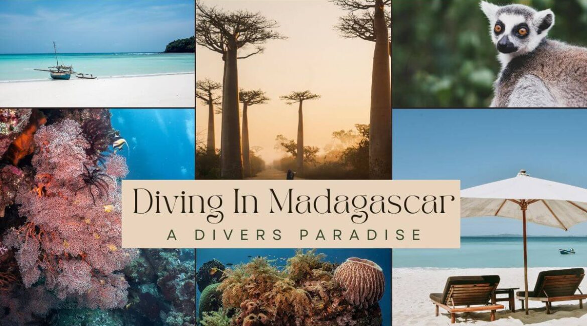 Diving in Madagascar: A Diver’s Paradise