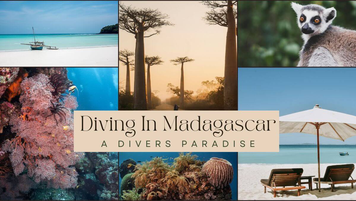 Diving in Madagascar