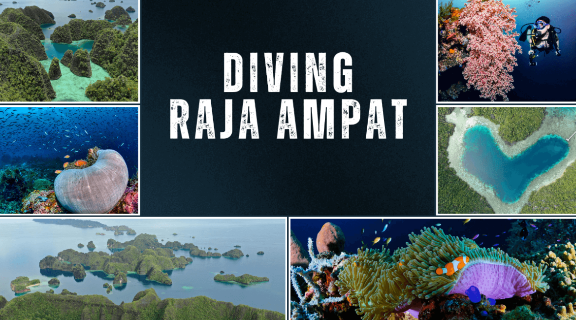 Diving in Raja Ampat: A Paradise for Marine Biodiversity