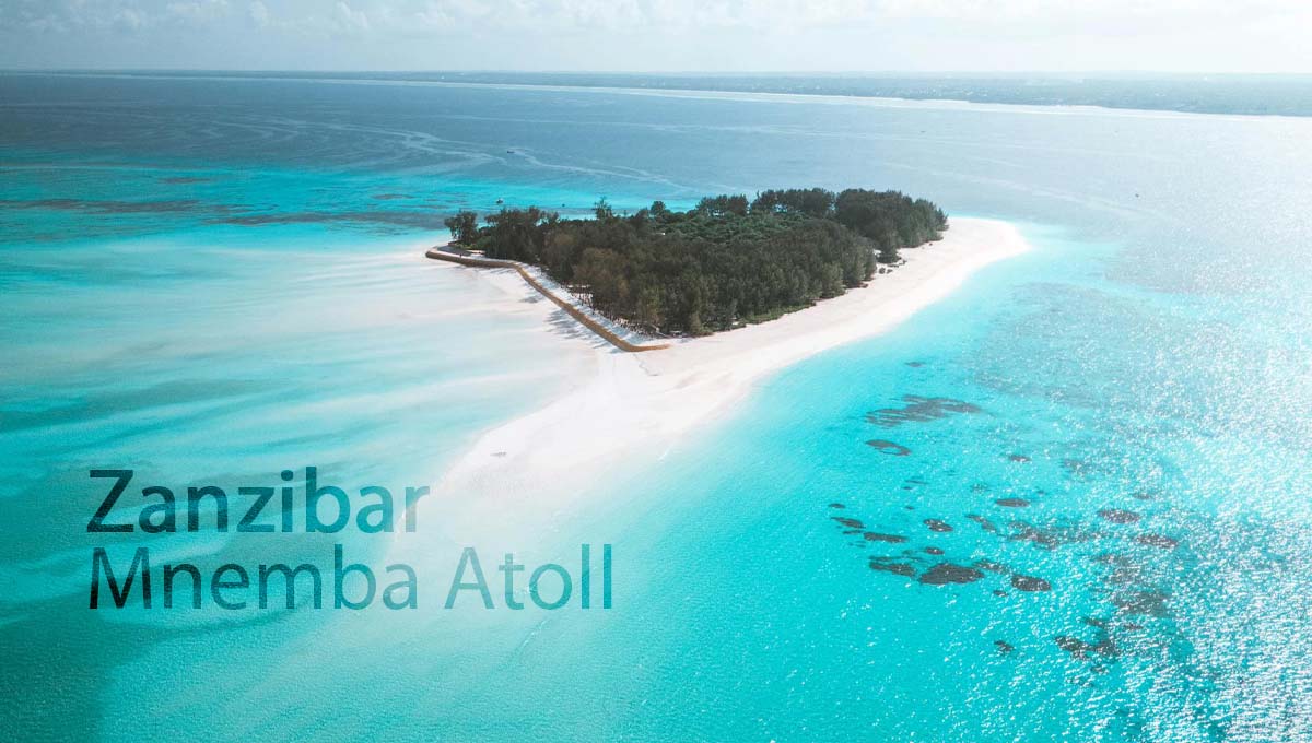 Scuba Diving in Zanzibar